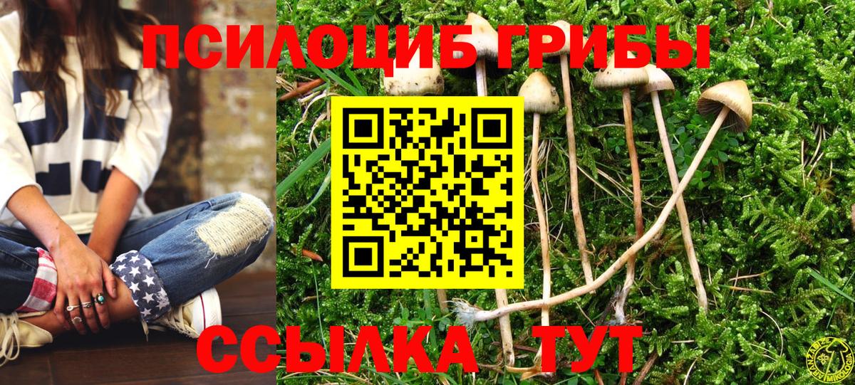 Галлюциногенные грибы прущие грибы Клинцы