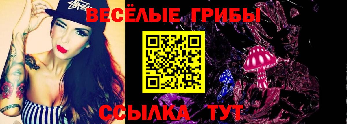Клинцы  Галлюциногенные грибы мицелий  Псилоцибиновые грибы Magic Shrooms  Вход с VPN 